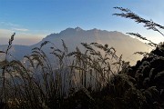 Autunnale in CIMA MENNA (2300 m) da Zorzone ad anello con discesa dal Chignol d’Arale il 25 ott. 2018- FOTOGALLERY